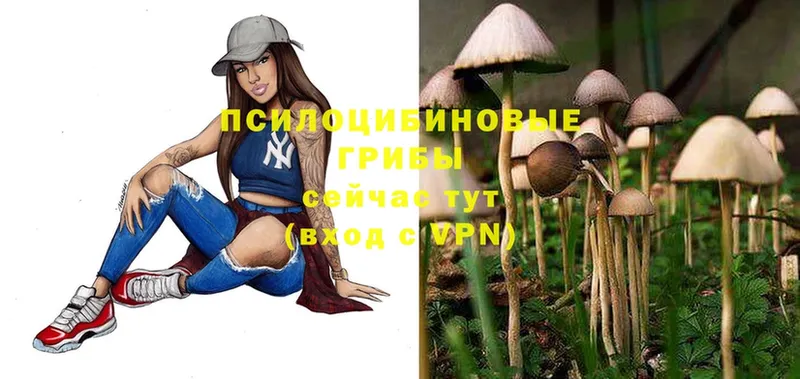 Псилоцибиновые грибы Magic Shrooms  хочу наркоту  мориарти как зайти  Жирновск 